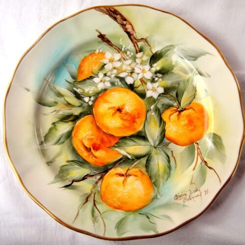 WhatsApp Image 2024-01-16 at 17.57.48