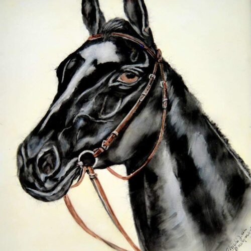 WhatsApp Image 2024-01-16 at 17.58.27 (1)